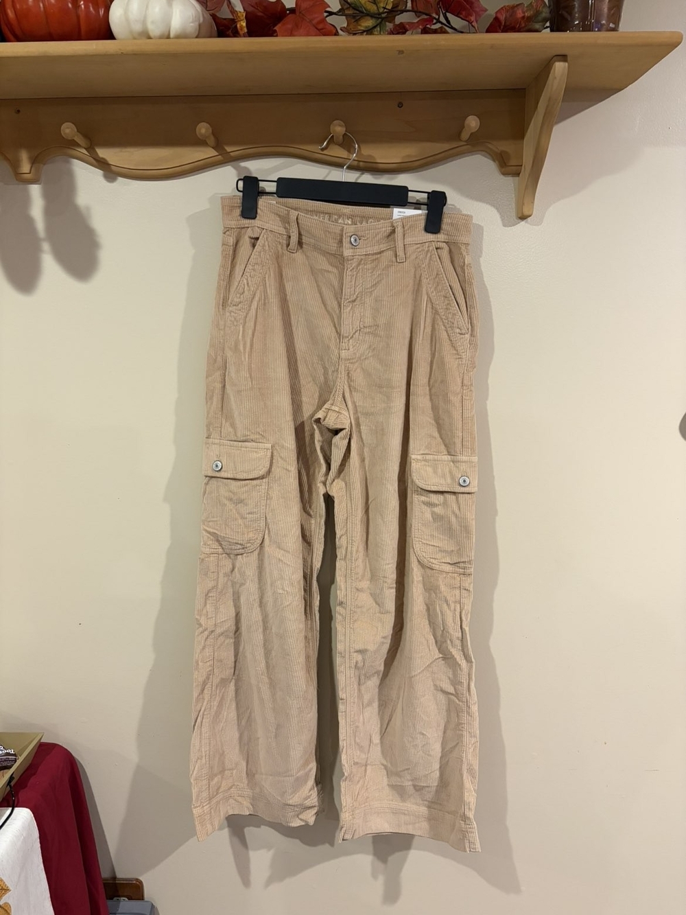 American Eagle Outfitters Tan Cargo Pants